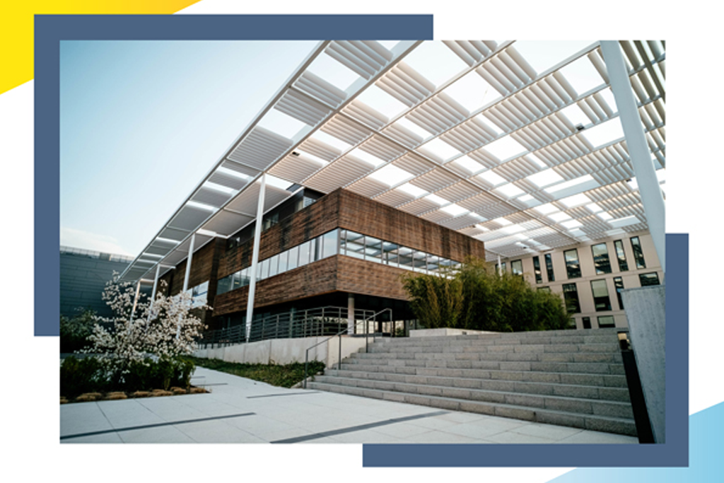 Online Learning Platform